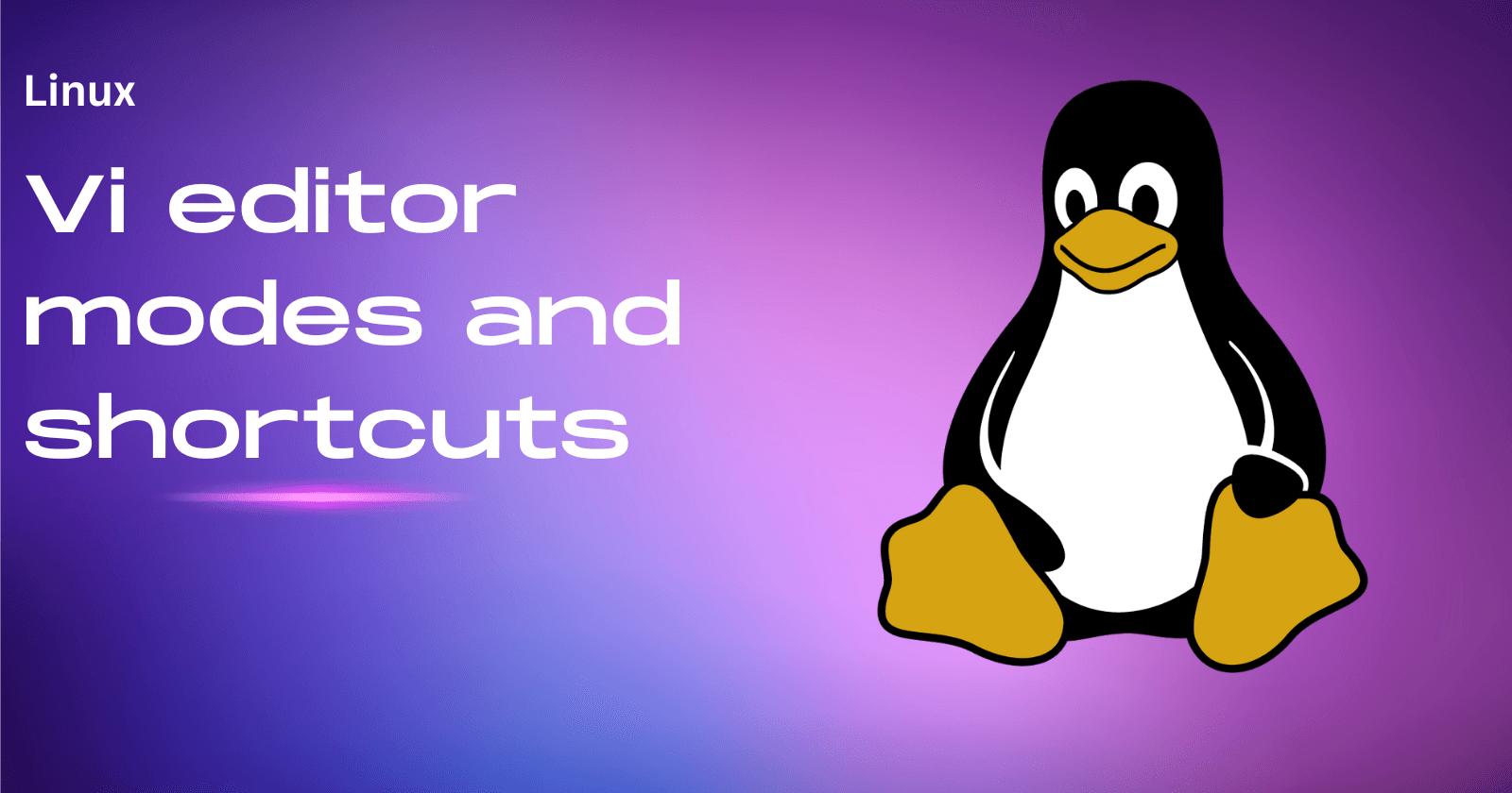 Vi editor and its shortcuts