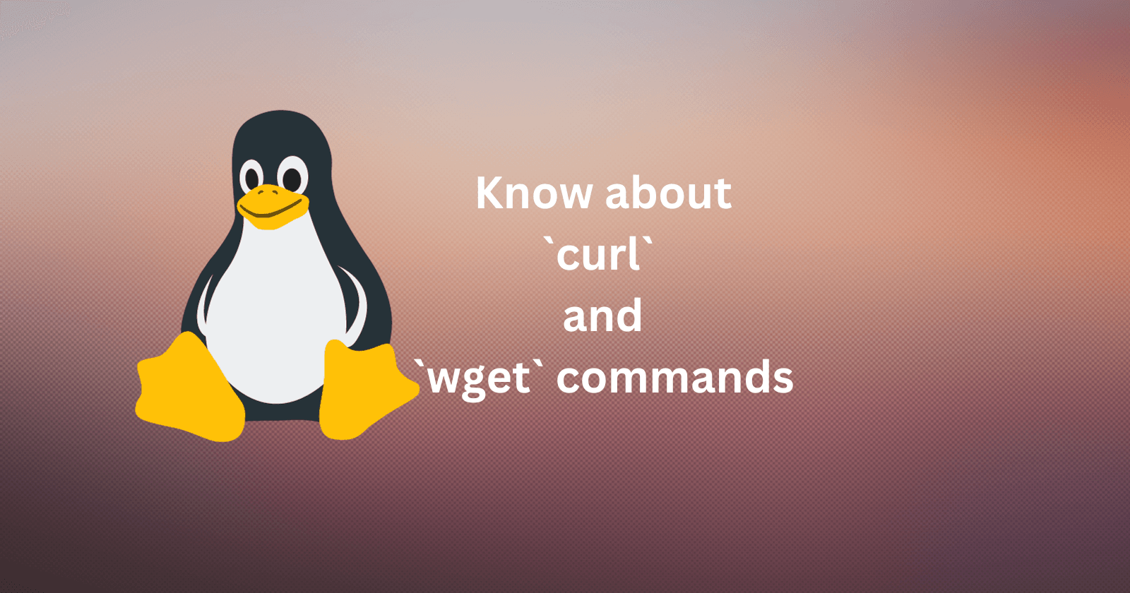 Linux wget and curl command for Efficient File Retrieval and Data Transfer